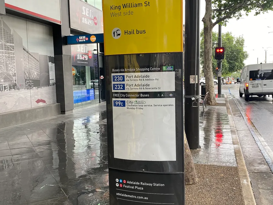 Microblading Adelaide — up close